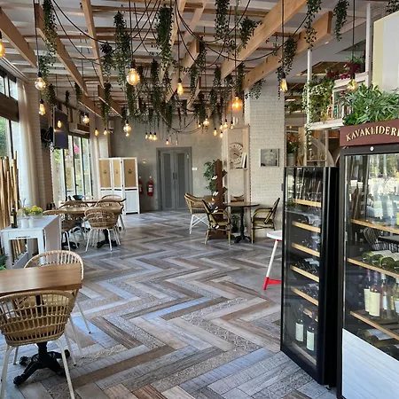 Caesar Didious شقة *